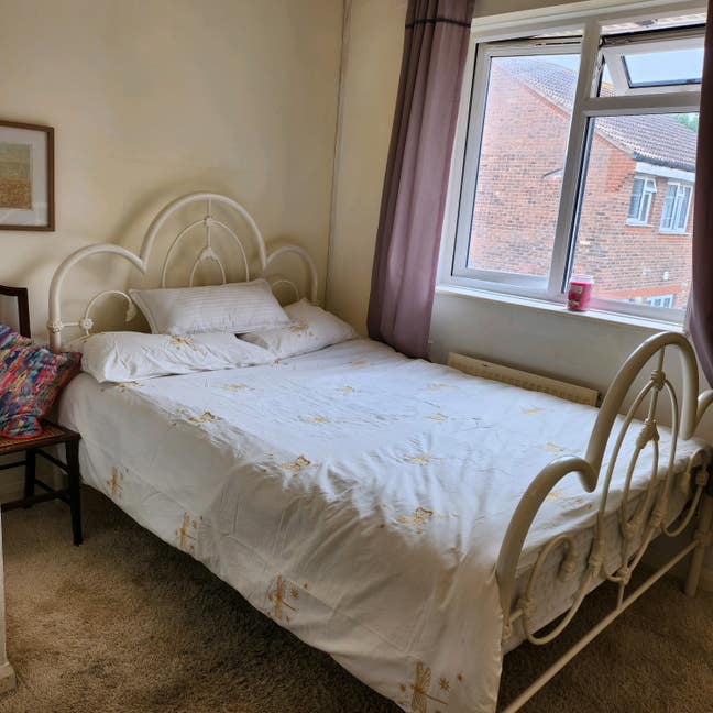 Double room in Eastbourne Relaxed home Main Photo