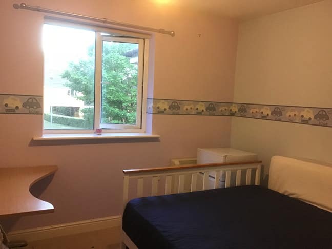 Double room in a Flat  Main Photo