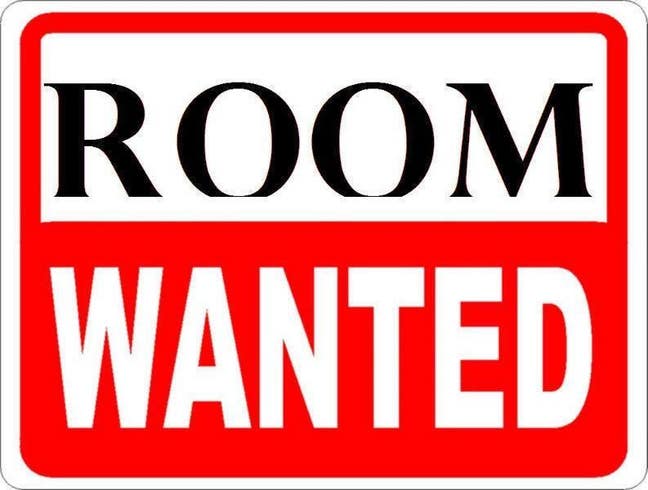 Studio/Annex/En Suite Wanted!!! Main Photo