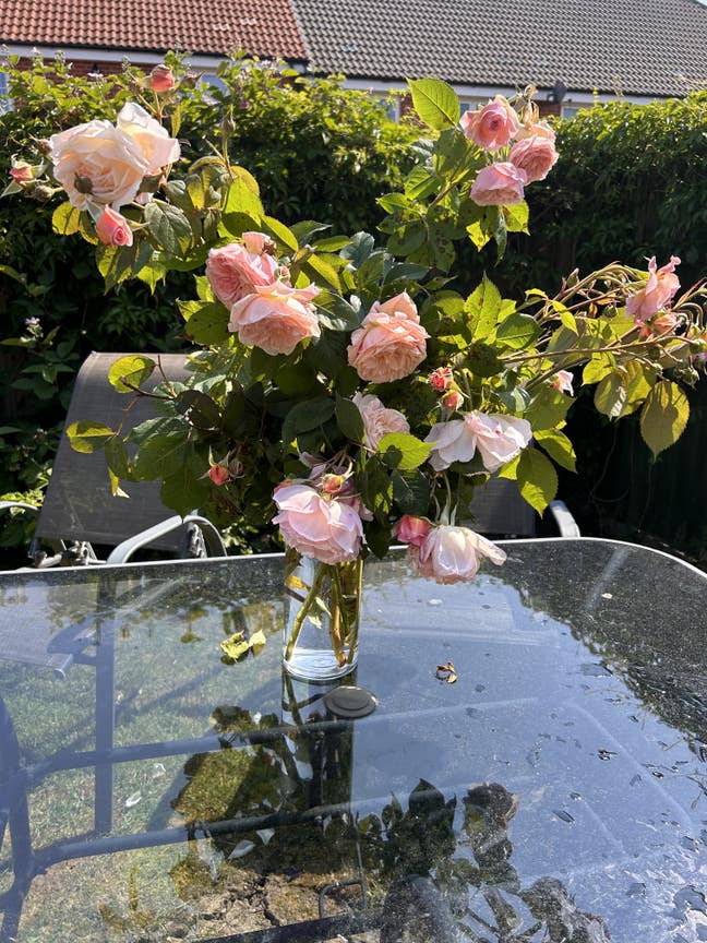 Double room in much sought after area Main Photo