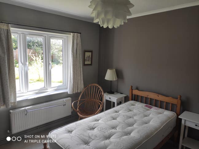 Cozy Room in a Green Bungalow Main Photo