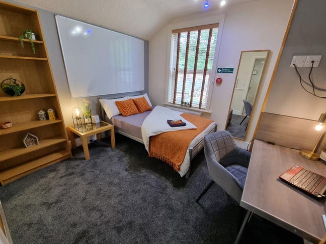 Avail June / July 2026  Bills Inc Studio Lincoln Main Photo