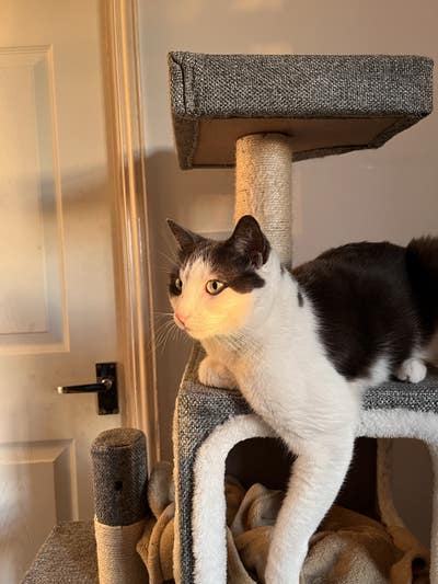 25 year old seeks a double room Main Photo