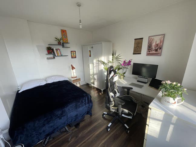 Quiet and sunny room between Old Street and Angel Main Photo