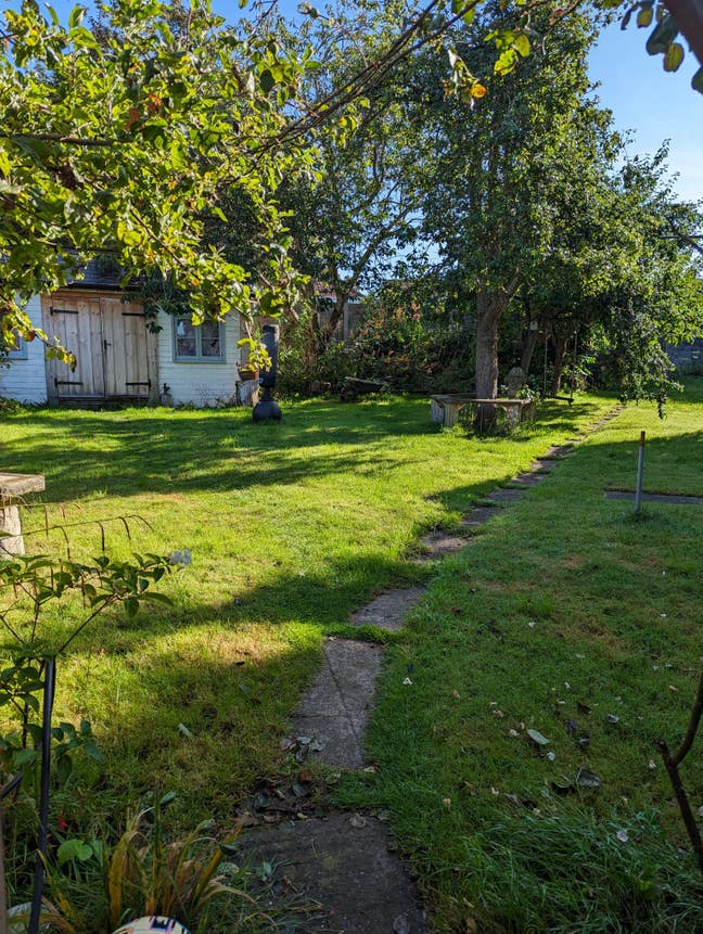 1 rooms, close to uni. Huge Garden!🌿 Cute cat 😺 Main Photo