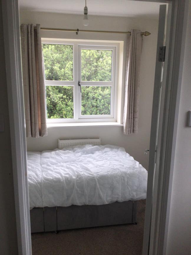 Single room in Chippenham Main Photo