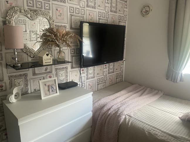 Room for employed female In quiet home  Main Photo