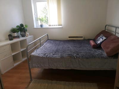 Room in Riverside flat with professional female Main Photo