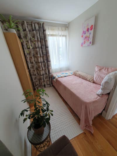 Cosy and sunny room-language students are welcome Main Photo