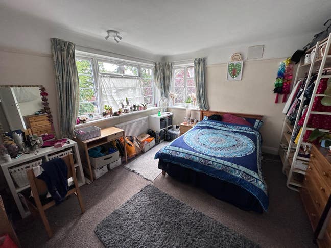 Bright room for Clean Quiet awesome flat friend Main Photo