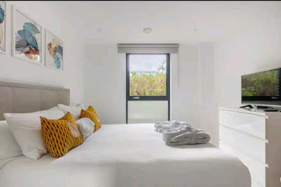 Luxurious / Clean En-suite Room In Stylish Flat ! Main Photo