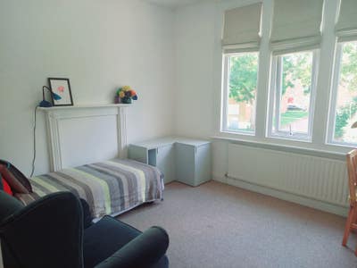 Bright, clean flat near Bounds Green  Main Photo