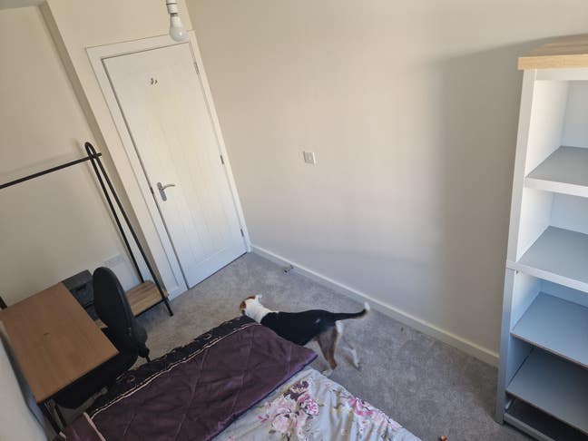 Short term single  room let, females preferred Main Photo