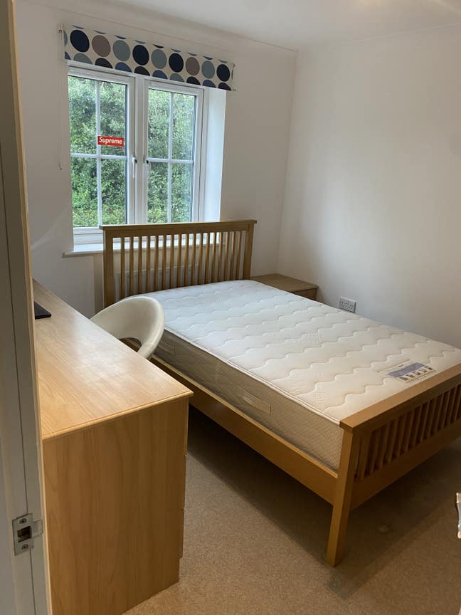 Double bedroom for rent with sole use of bathroom  Main Photo