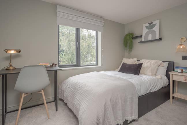 ⭐️Ladywell New+Tv+Bills+Cleaner ⭐️ Main Photo