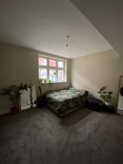 Quirky big apartment! Bang on lowerhillgate Main Photo