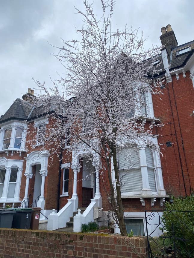 Two bed flat Crouch End (incl bills) Main Photo