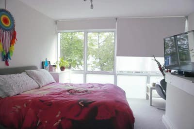 Large Airy Room Fulham Super Chill Environment  Main Photo