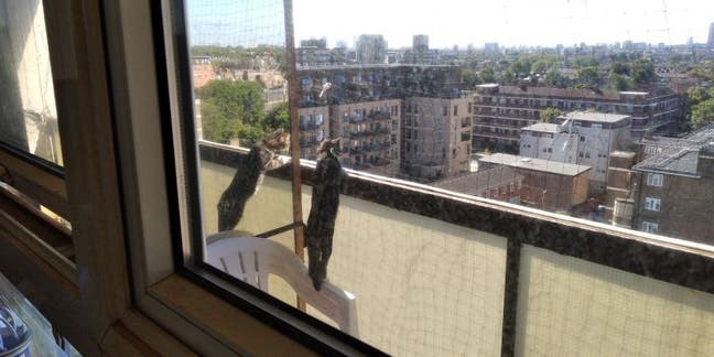 Double room available 1st Dec in Hackney Main Photo