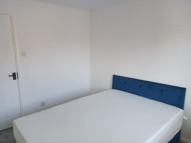 Looking For a Professional and Reliable Roommate  Main Photo