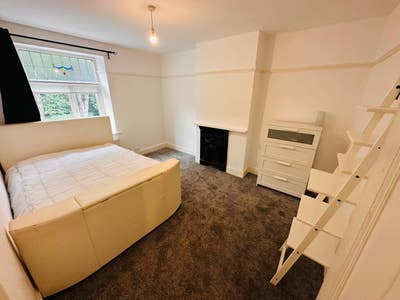 Huge double room in spacious Victorian house Main Photo
