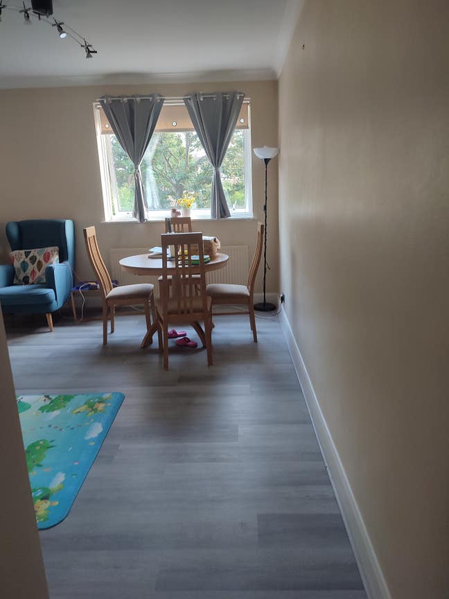 2 rooms for vegetarian females in w5 Main Photo