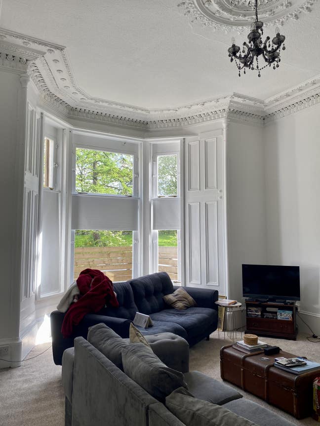 Looking for roommate!  Main Photo