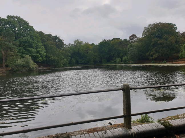 Lovely 1 bed bungalow with parking  Main Photo