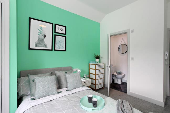 Professional Double En-Suite Room Main Photo