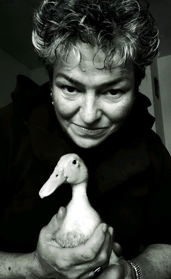 Self contained annex sought... Main Photo