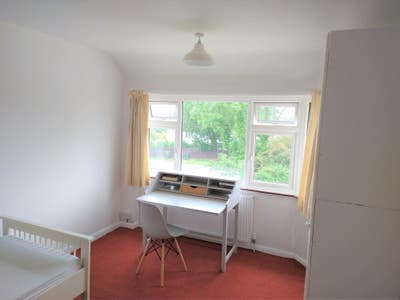 Room for a lodger in a friendly house Main Photo