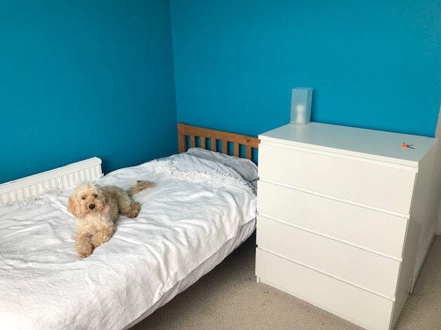 Bright room in a friendly house Main Photo