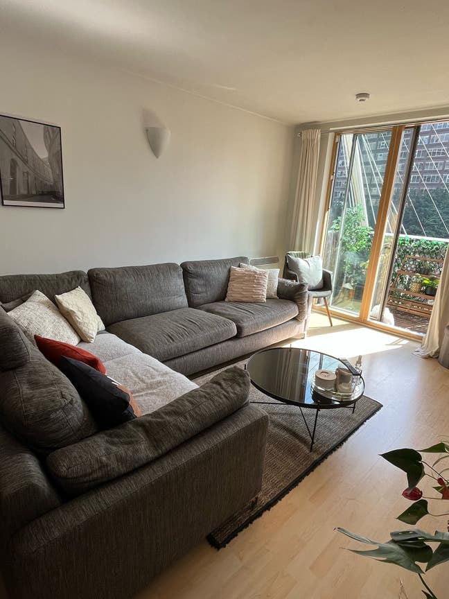 Looking for a flatmate for a fantastic apartment Main Photo