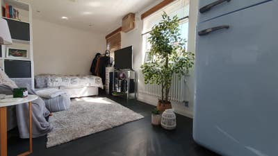 Self Contained Studio with Large Garden + Parking Main Photo