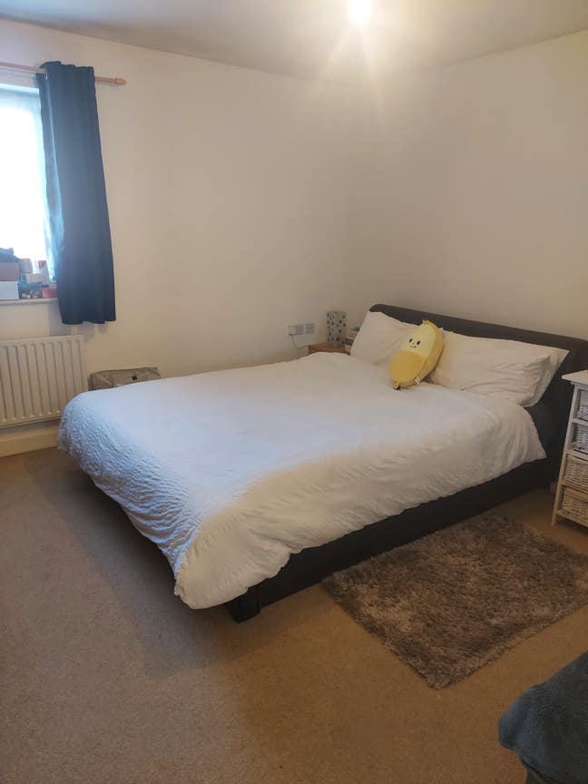 One large double bedroom in a beautiful clean flat Main Photo
