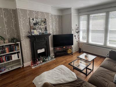 Great Room in a Friendly Flat Main Photo