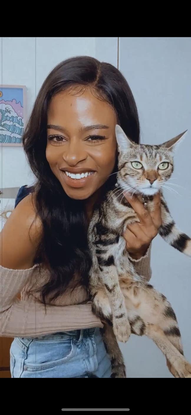 Looking for double room for me and  feline friend  Main Photo