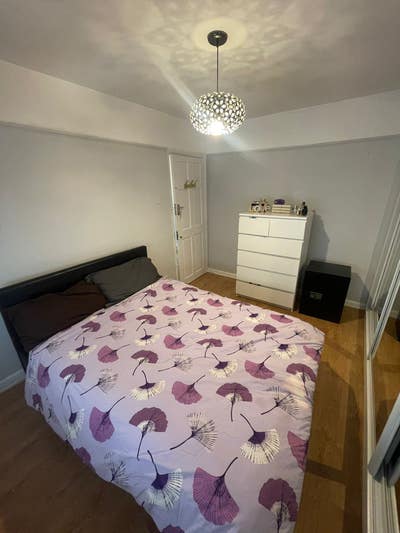 1 lovely double bedroom available  Main Photo