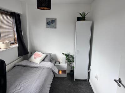 Single cosy room for rent close to university  Main Photo