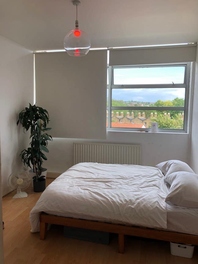 Room available in Peckham Main Photo