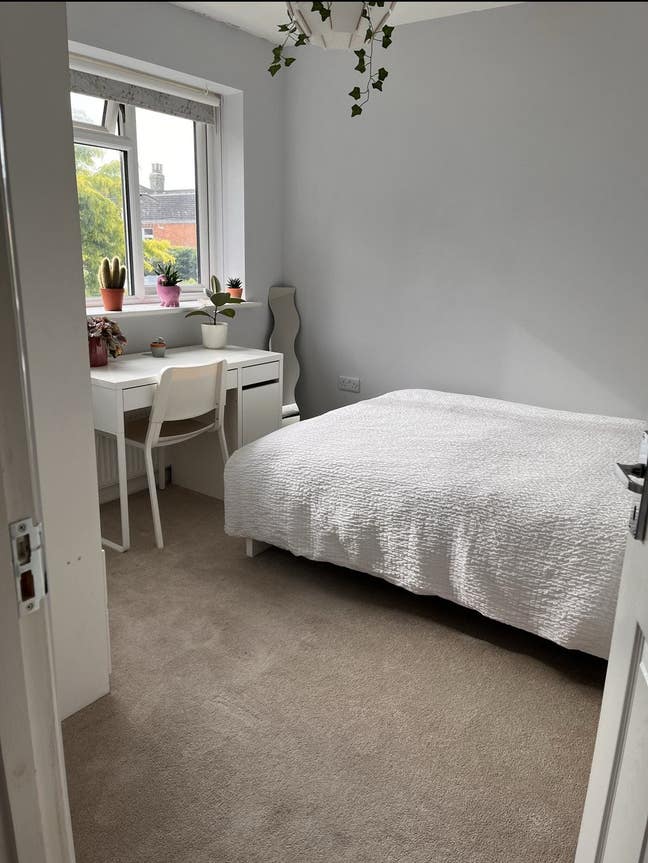 Female Roommate Wanted for Shared House  Main Photo