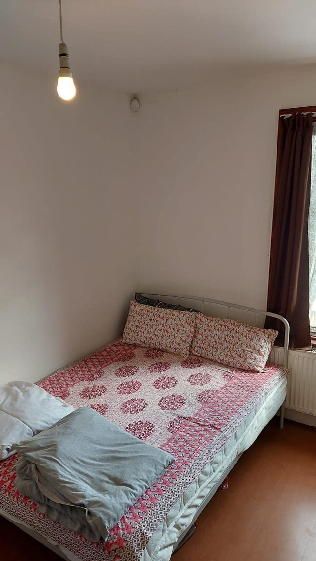 Single & Double room for Vegetarian Females Main Photo