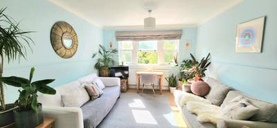 Available for August Until Mid-September Main Photo