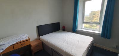 Spacious room to rent Main Photo
