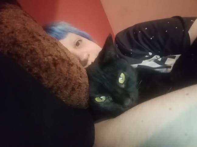 Studio flat sought by 1 afab Enby and cat Main Photo