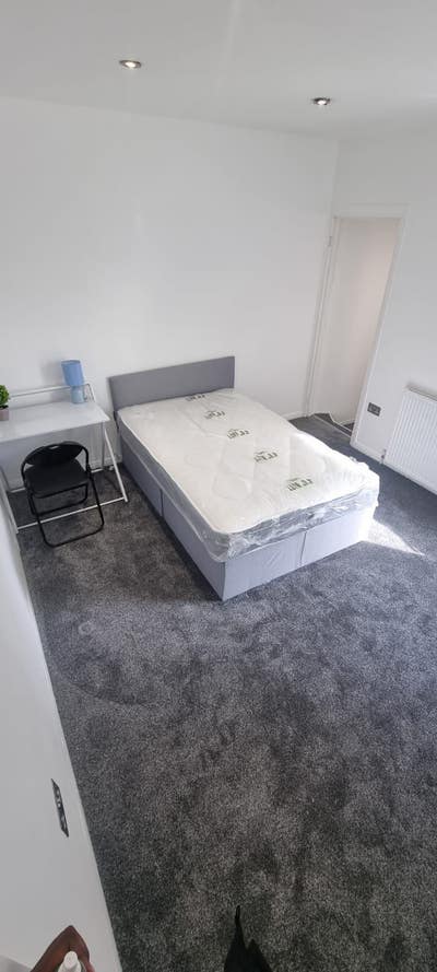 Newly Renovated 4 bedroom house all ensuite! Main Photo