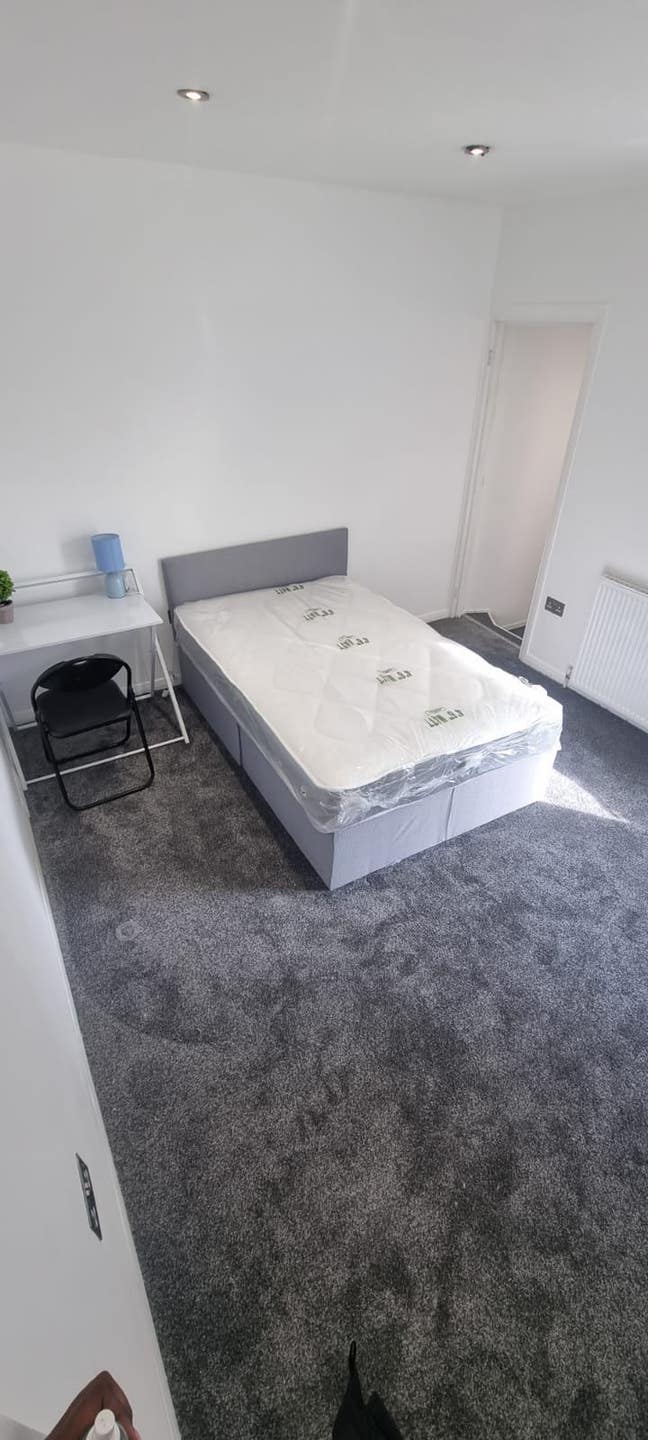 Newly Renovated 4 bedroom house all ensuite! Main Photo