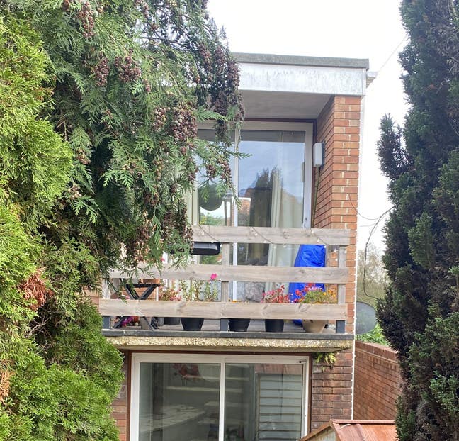 Lovely Studio Available Near the Hospital  Main Photo
