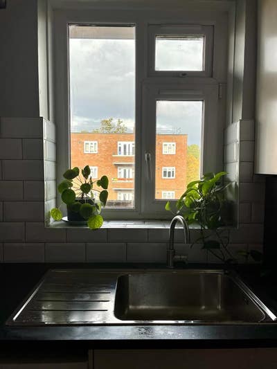 Stunning room in Forest Hill flatshare Main Photo