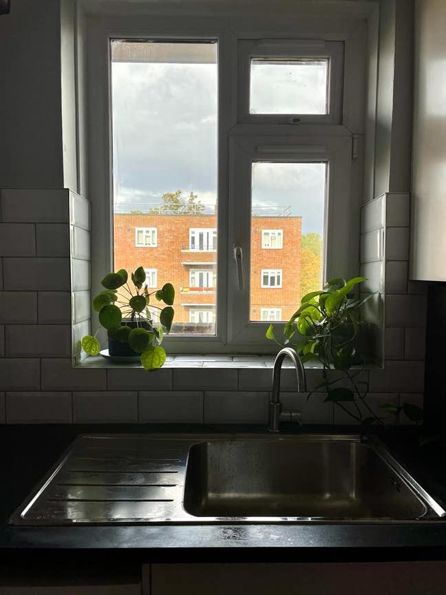 Stunning room in Forest Hill flatshare Main Photo